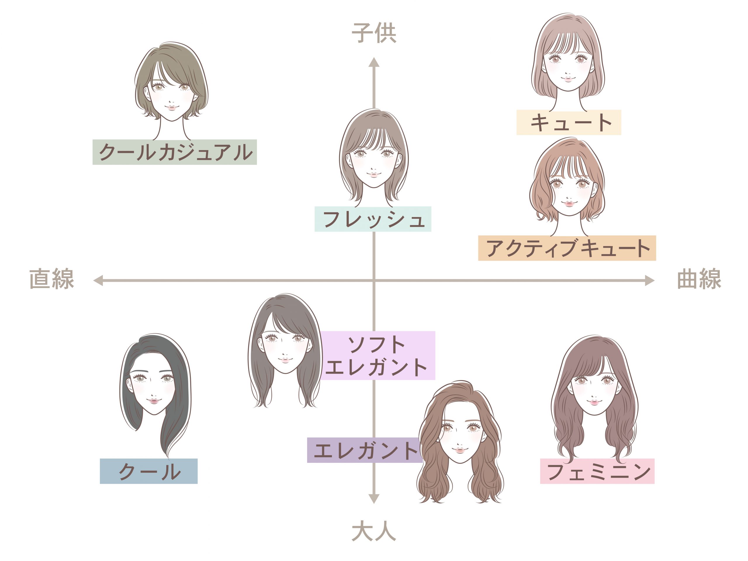 顔タイプ診断チャート